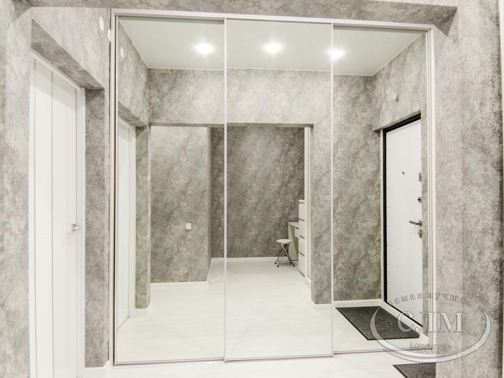 Зеркальные двери шкафа-купе: плюсы и минусы